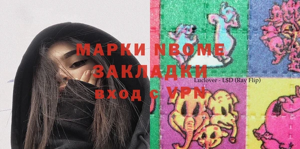 шишки Арсеньев