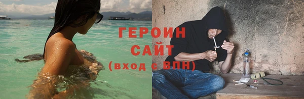 шишки Арсеньев