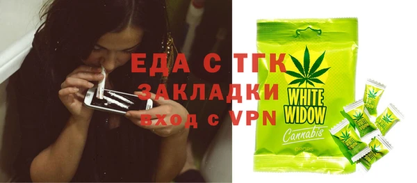 шишки Арсеньев