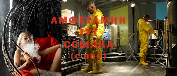 шишки Арсеньев