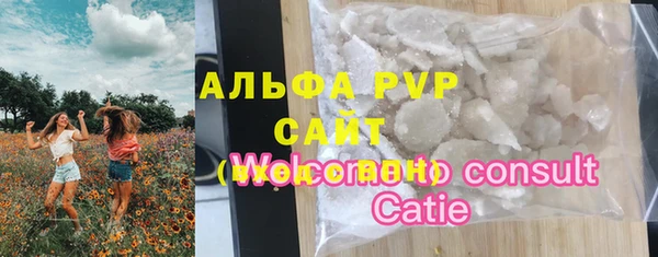 шишки Арсеньев