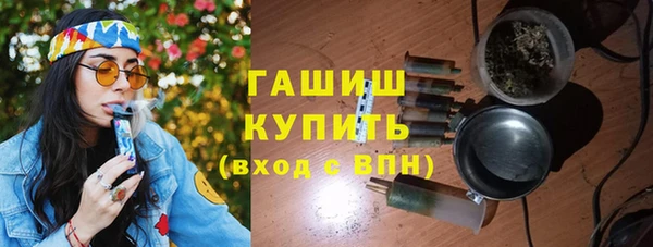 шишки Арсеньев