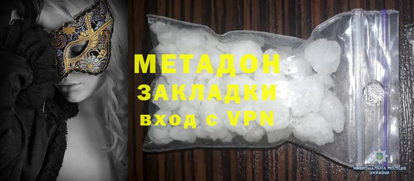 шишки Арсеньев