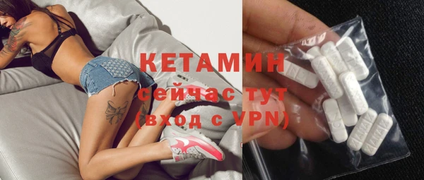 шишки Арсеньев