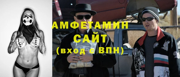шишки Арсеньев
